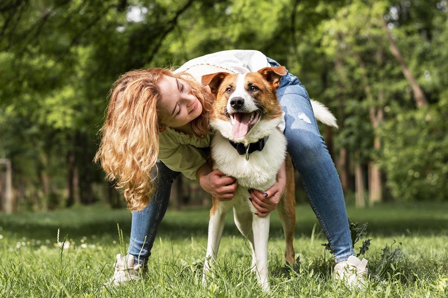 5 consejos para escoger un collar antiparasitario para tu mascota - Disane pet care