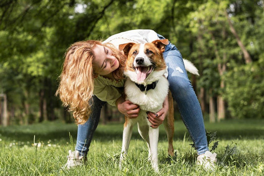 5 consejos para escoger un collar antiparasitario para tu mascota - Disane pet care