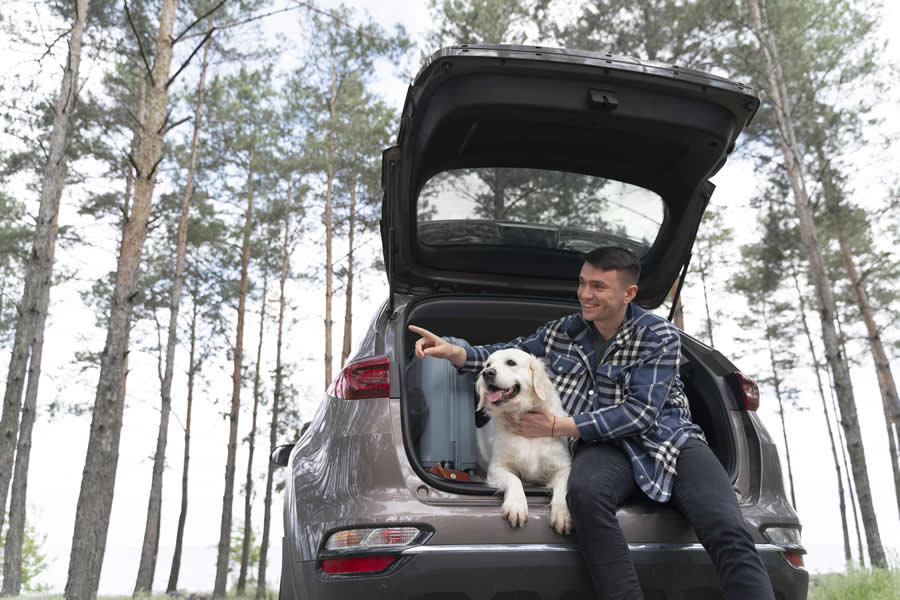 5 consejos si vas de vacaciones con tu perro en Semana Santa - Disane pet care