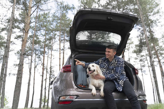 5 consejos si vas de vacaciones con tu perro en Semana Santa - Disane pet care