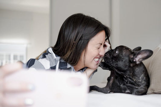 ¿A tu perro le huele mal la boca? Razones y cuidados - Disane pet care