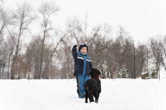 Adapta los cuidados de tu mascota al invierno - Disane pet care