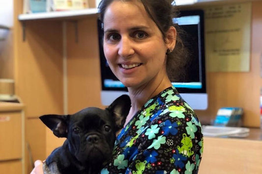 Antiparasitarios naturales, más seguros para la familia - Disane pet care