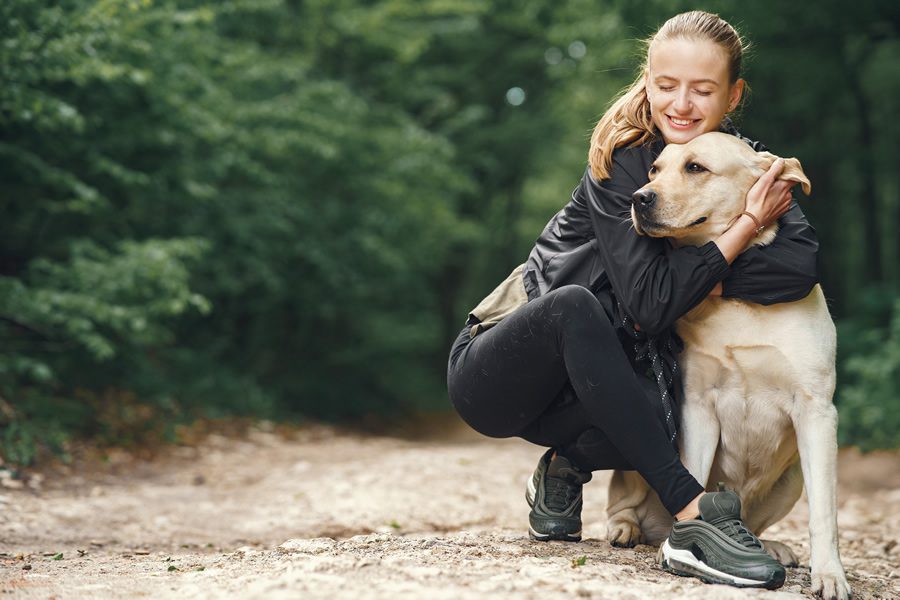 antiparasitarios naturales para perros y gatos