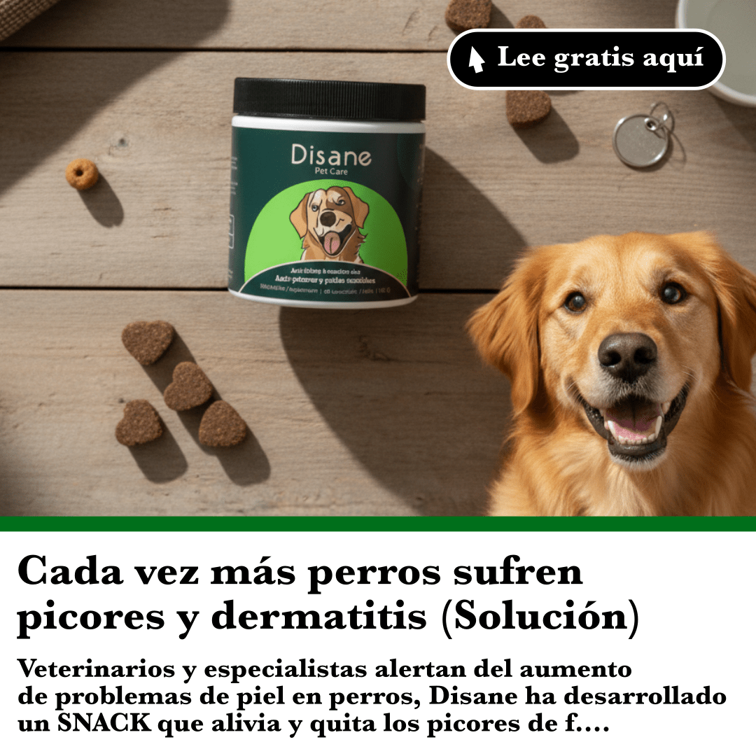 Cada vez más perros sufren picores y dermatitis: por qué ocurre y cómo aliviarlo - Disane pet care