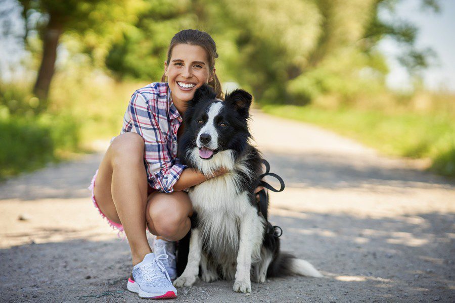 Collar antiparasitario, un básico para un verano saludable - Disane pet care