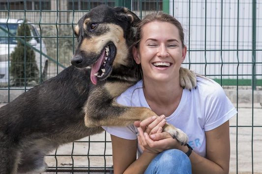 Comprometidos con los Derechos de los Animales - Disane pet care
