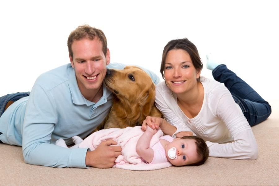 Consejos ante la llegada de un bebé si tienes mascota en casa - Disane pet care