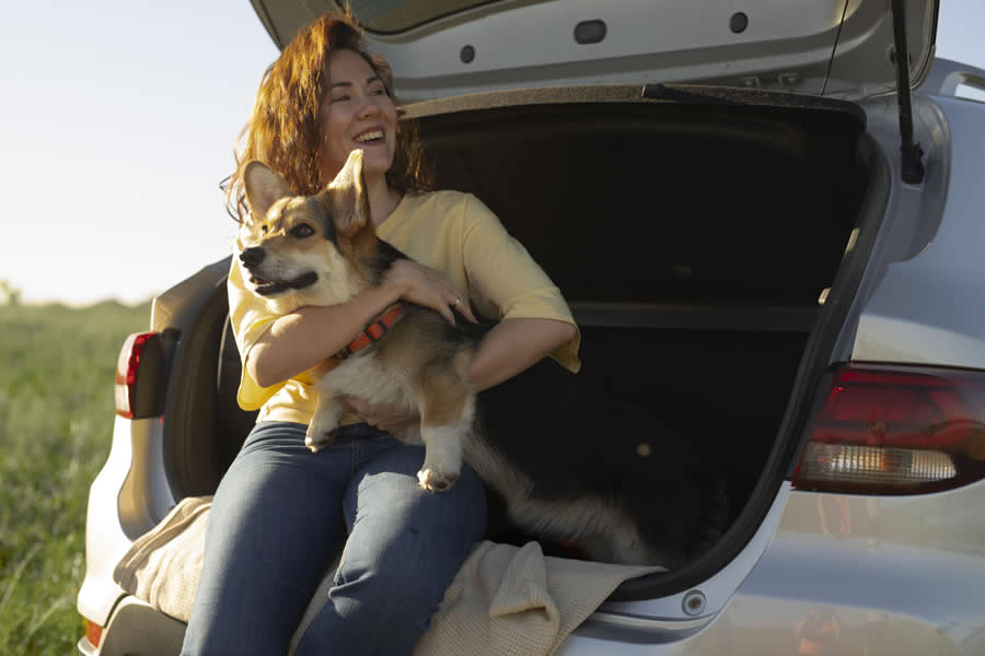 Consejos de la DGT si viajas con tu mascota - Disane pet care