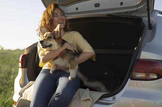 Consejos de la DGT si viajas con tu mascota - Disane pet care
