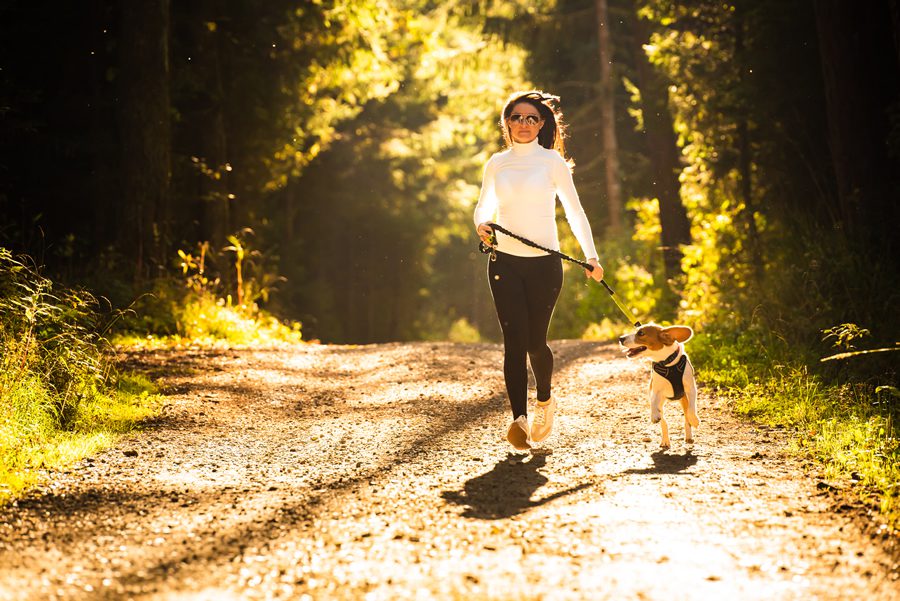 correr con tu perro