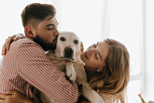 Día Internacional de los Derechos de los Animales - Disane pet care