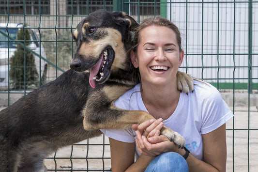 Día Mundial de los perros sin hogar - Disane pet care