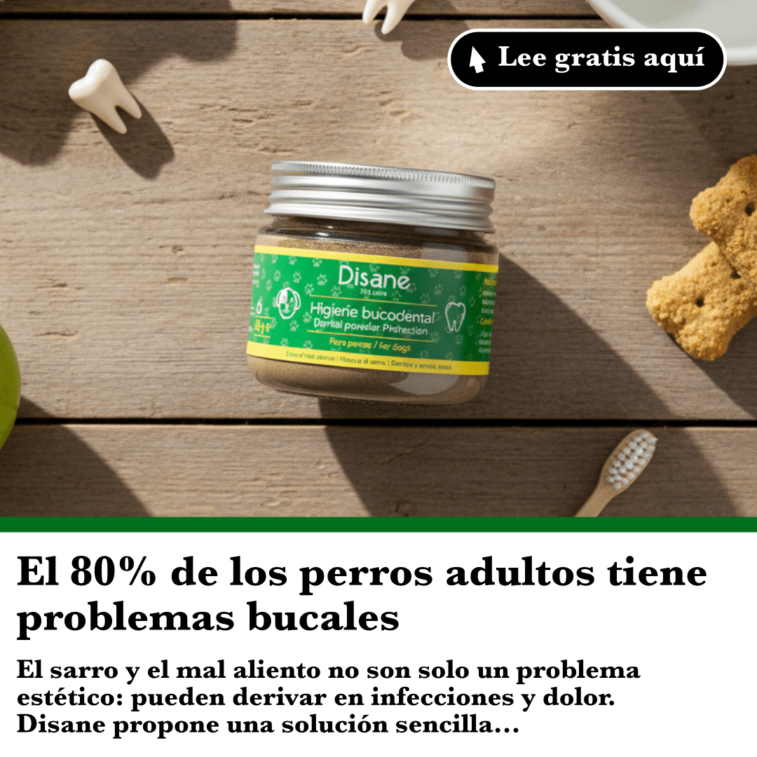 El 80% de los perros adultos tiene problemas bucales: causas y cómo prevenirlos - Disane pet care