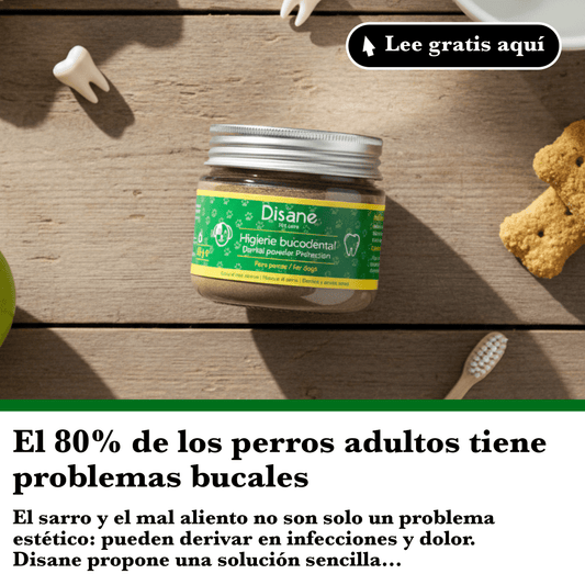El 80% de los perros adultos tiene problemas bucales: causas y cómo prevenirlos - Disane pet care