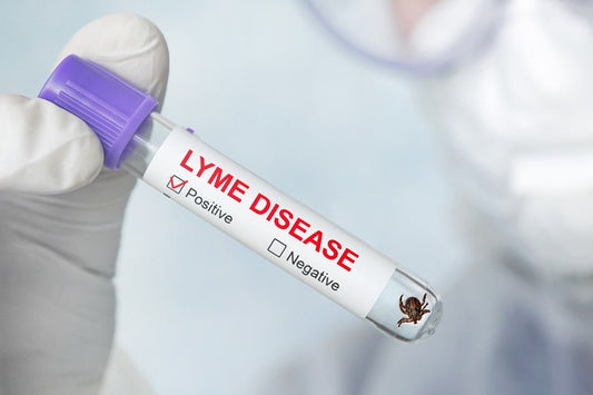 Enfermedad de Lyme, ¡stop garrapatas! - Disane pet care
