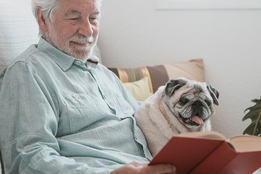 ¿Es verdad que las personas con mascotas son más felices? - Disane pet care