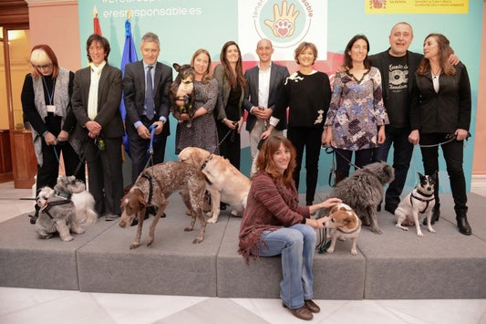 Guía para la tenencia responsable de animales de compañía - Disane pet care