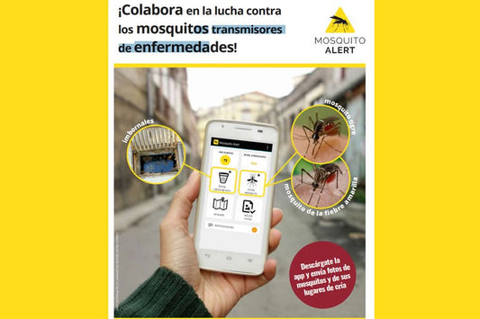 Mosquito Alert, vigilancia frente a la transmisión de enfermedades - Disane pet care