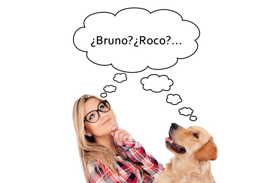 nombres de perros