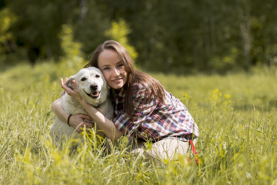 cuidados al perro en primavera