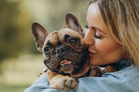 Perros con pliegues: cuidados en verano - Disane pet care
