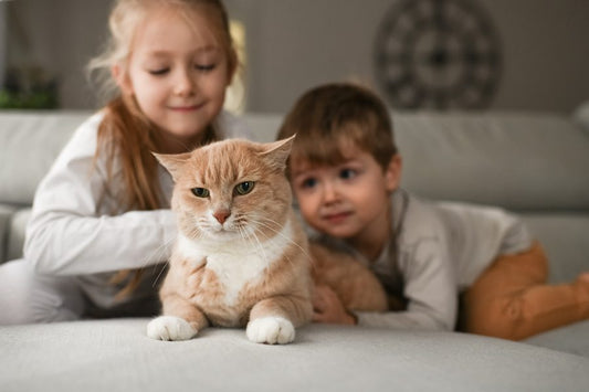 Pipetas antiparasitarias sin tóxicos, un "must" si tienes niños en casa - Disane pet care