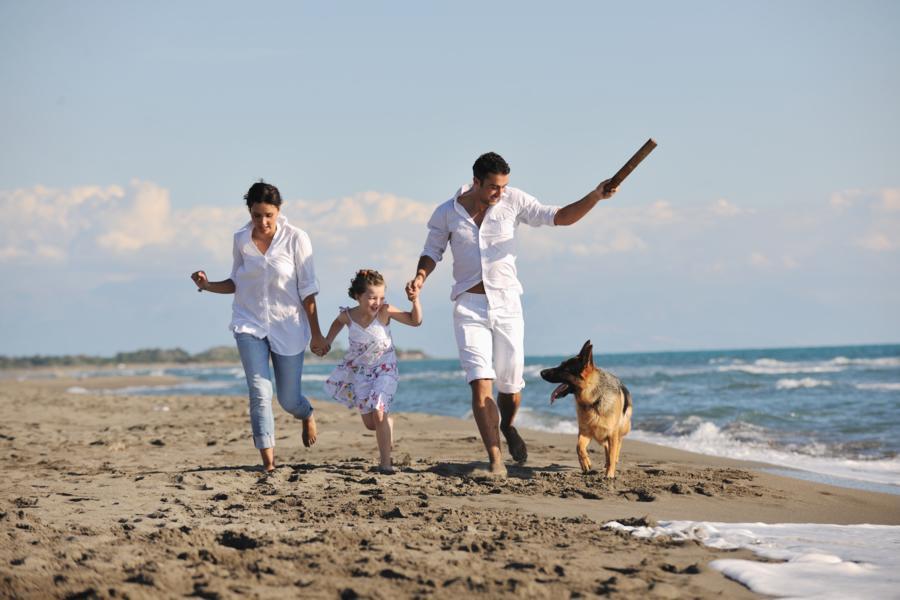 Destinos petfriendly si viajas con tu mascota