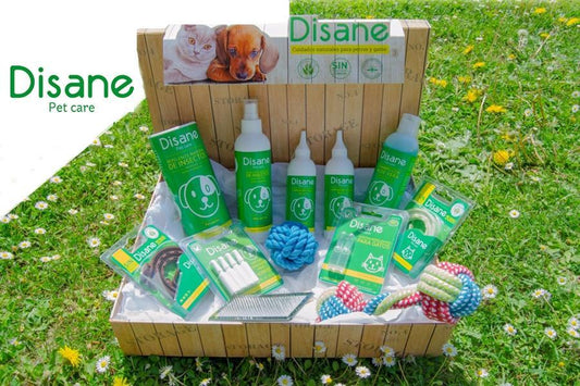 ¿Por qué elegir antiparasitarios naturales para el cuidado de tu mascota? - Disane pet care