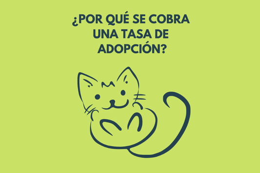 ¿Por qué se cobra una tasa de adopción? - Disane pet care