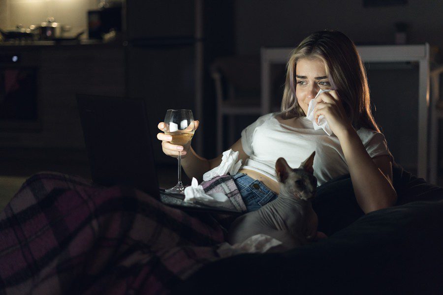 ¿Realmente lloran los gatos? - Disane pet care