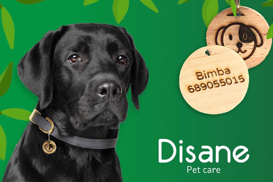 chapa identificativa para perros