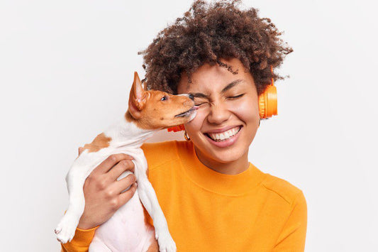 ¿Sabes por qué te lame tu perro? ¡Te damos cinco razones! - Disane pet care