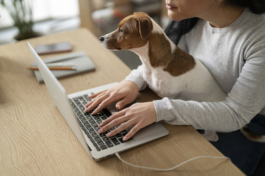seguro de responsabilidad civil perros