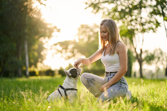Stop garrapatas en verano, ¡extrema las precauciones! - Disane pet care