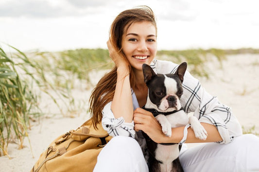 Vacaciones de verano con tu perro, ¿tienes preparada la maleta? - Disane pet care