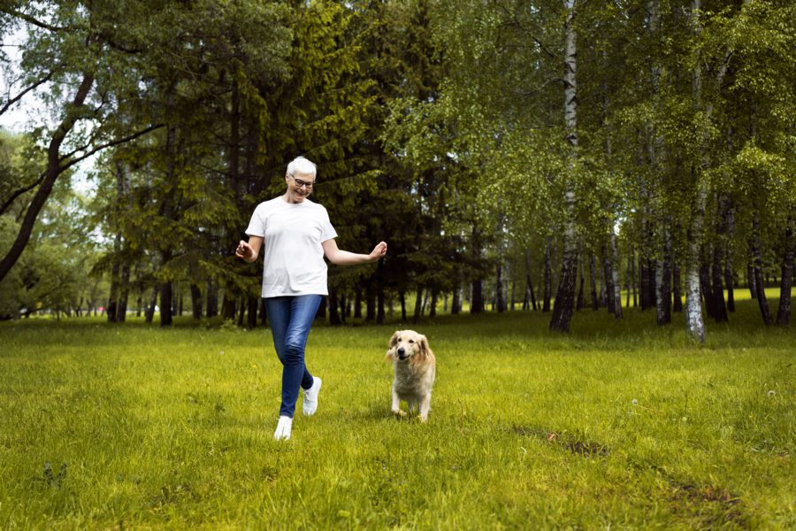Ventajas del omega 3 para perros - Disane pet care