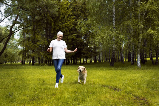 Ventajas del omega 3 para perros - Disane pet care