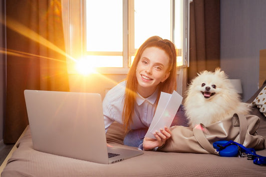 viajar con tu mascota