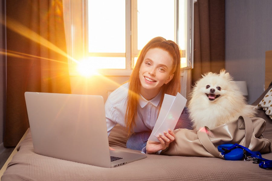 viajar con tu mascota