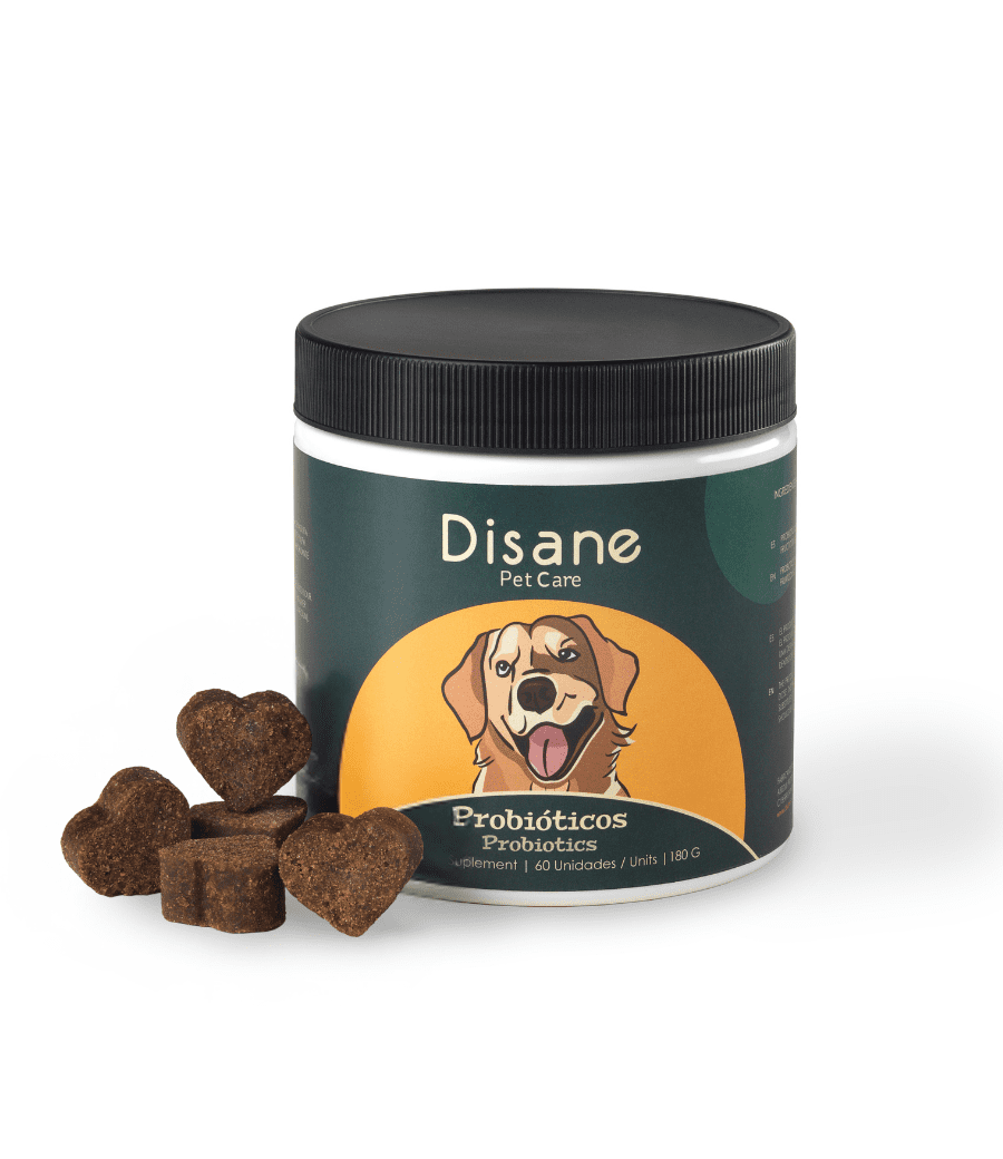 Probióticos para perros