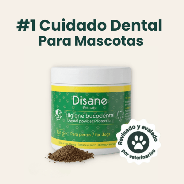 Higiene bucodental para perros - Disane pet care