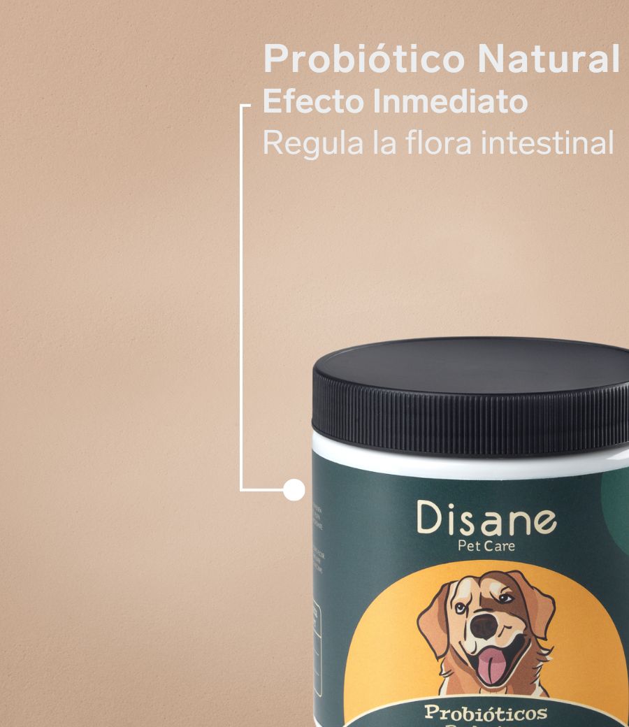 Suplemento natural para perros