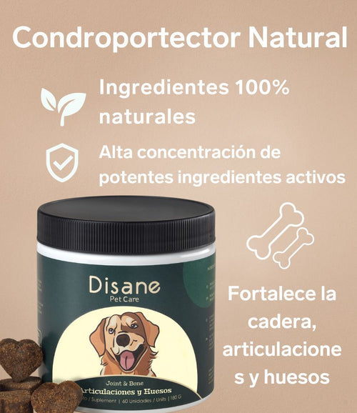 Huesos y Articulaciones para Perros - Suplemento Natural de 60 Unidades | Disane Pet Care