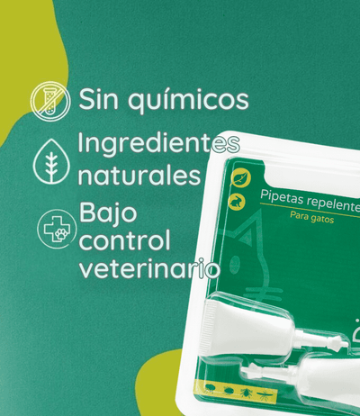 Pipetas antiparasitarias naturales para gatos