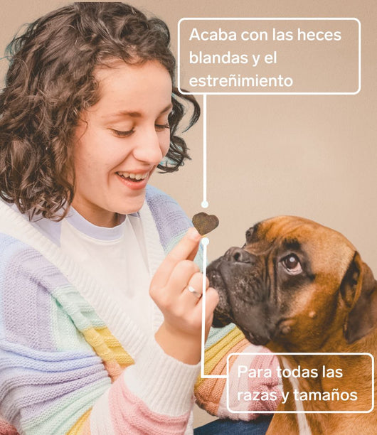 Glucosamina para perros