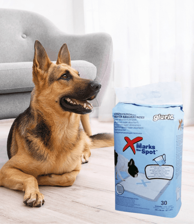 Empapadores súper absorbentes para perros