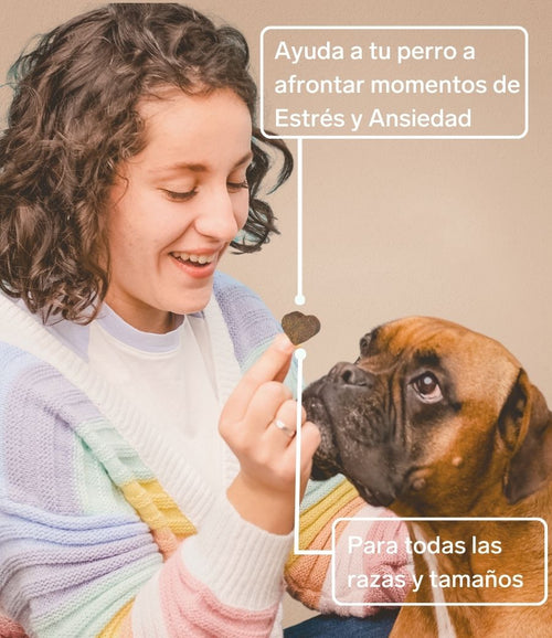 Calmante Natural para Perros - Suplemento Antiestrés de 60 Unidades | Disane Pet Care