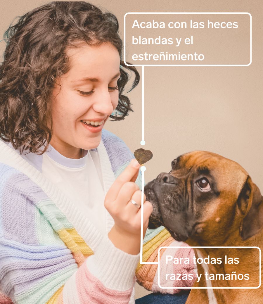 Prebióticos para perros