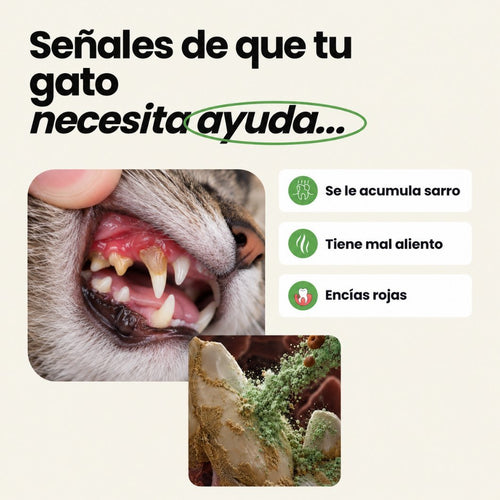 Disane DentalCare | Elimina el sarro y cuida los dientes de tu Gato
